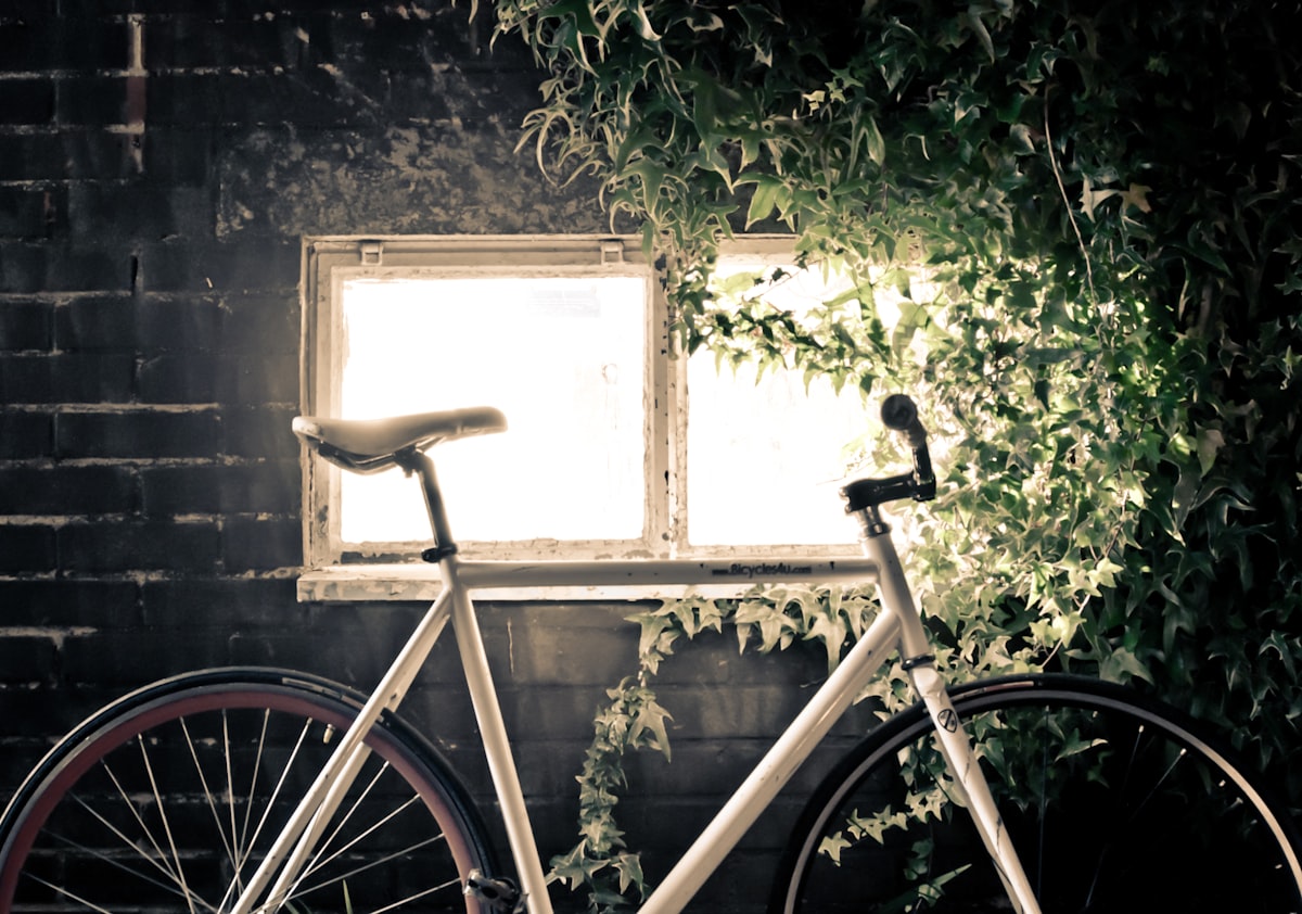 Mobirise