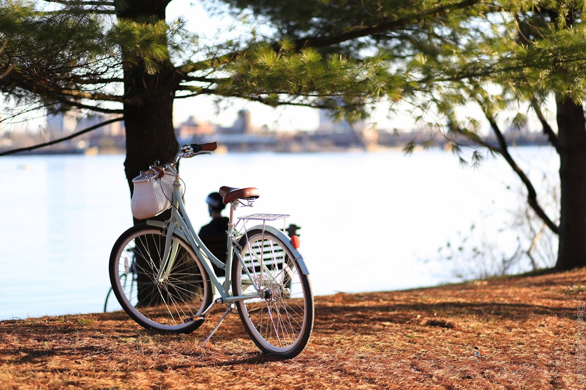 Mobirise